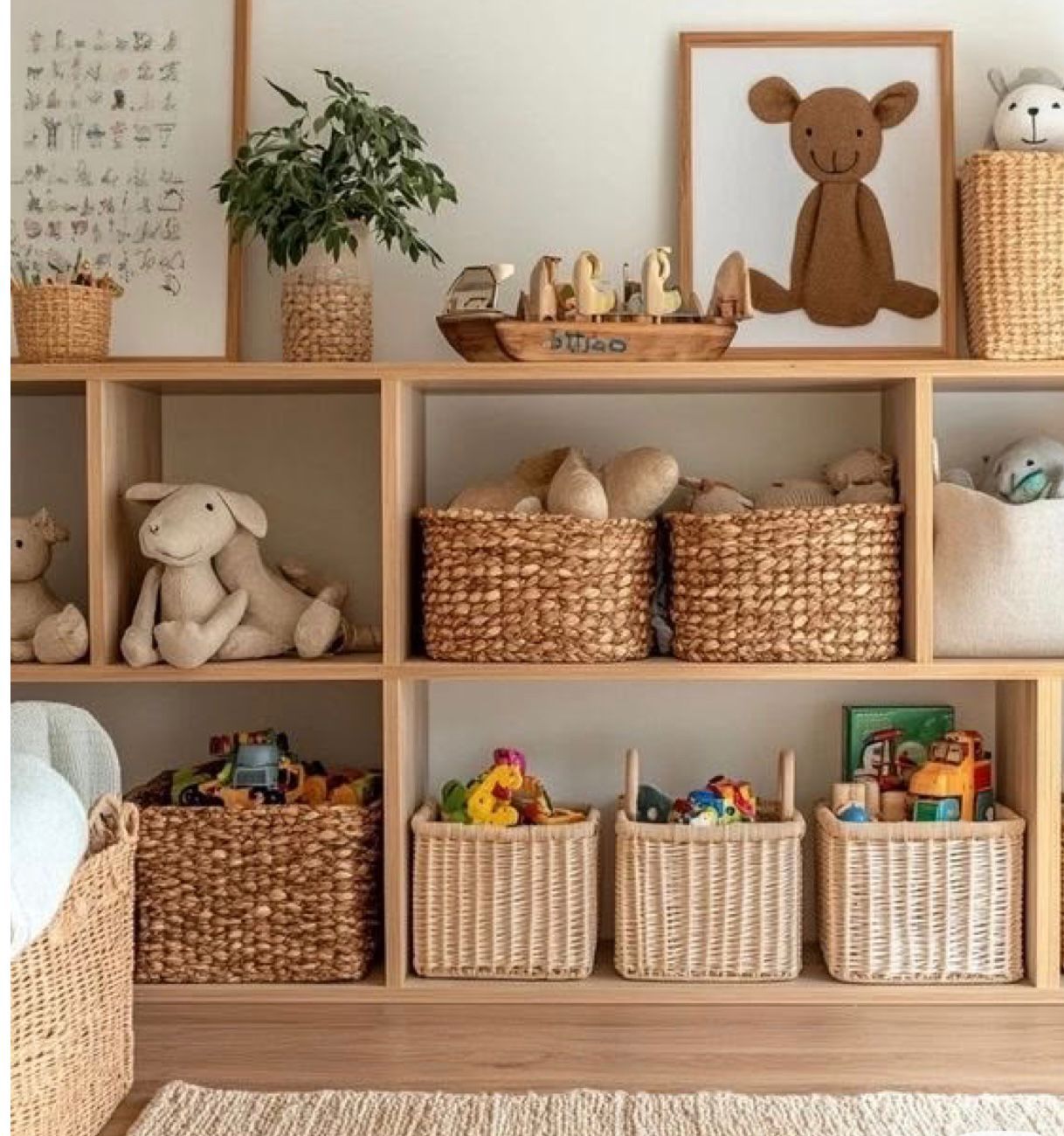 Standard Kids Room Organization